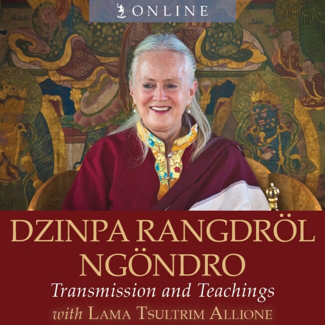 Dzinpa-Rangdrol-Ngondro-Transmission-and-Teachings_tile_10