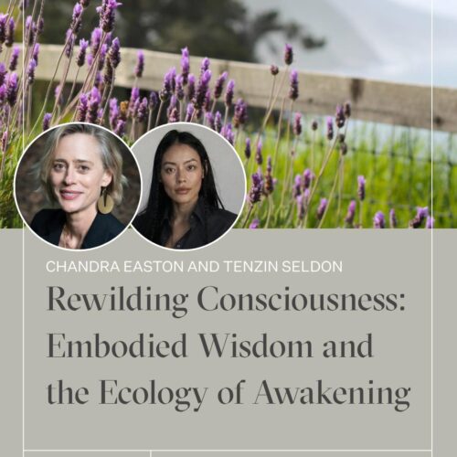 Rewilding Consciousness